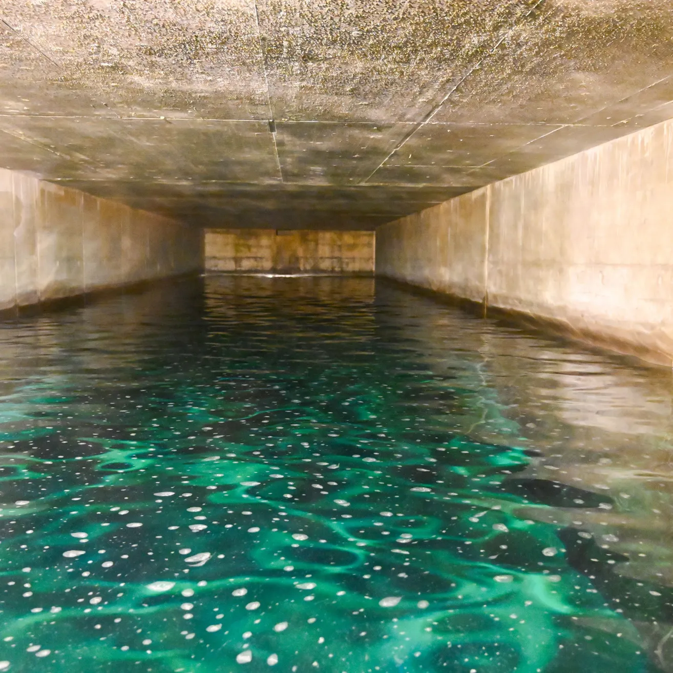 Ein Tunnel gefüllt mit grünlichem Wasser, das die Betondecke und Wände reflektiert.
