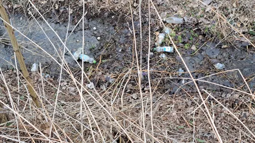 Ein schlammiger Bereich mit mehreren Plastikflaschen und kleinen Steinen. Einige Flaschen sind leer, während andere noch etwas Flüssigkeit enthalten. Der Boden ist mit trockenem Gras und Blättern bedeckt.