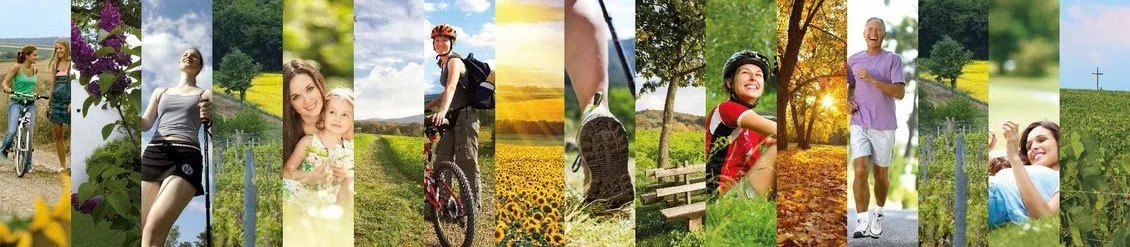 Art, Collage, Helmet, Person, Vegetation, Bicycle, Shorts, Grass, Shoe, Face