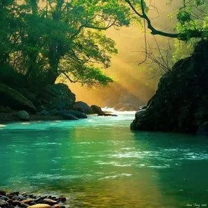 Nature, Outdoors, Scenery, Green, Water, Landscape, Vegetation, Jungle, Rock, Sunlight