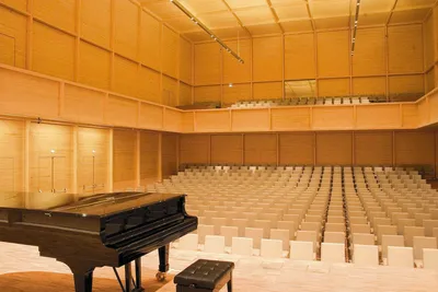 People, Piano, Building, Auditorium, Indoors, Concert, Crowd, Interior Design, Classroom, Grand Piano