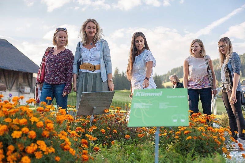 Fünf Frauen stehen in einem Garten mit orangefarbenen Blumen und einem grünen Schild. Eine Frau hält ein Schild. Sie scheinen Touristen zu sein.
