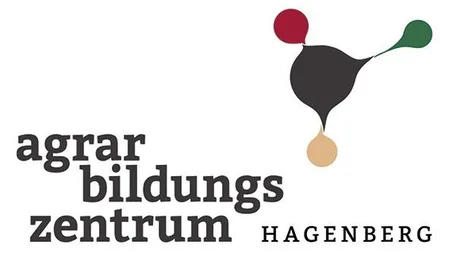 Logo, Balloon