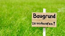 Bild enthält, Grass, Plant, Lawn, Field, Outdoors, Nature