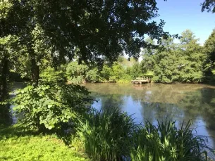 Ein ruhiger Teich, umgeben von üppigem Grün und Bäumen, mit einem kleinen hölzernen Steg, der ins Wasser ragt.