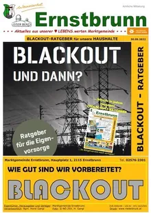 Ein gelbes Plakat mit einem Schwarz-Weiß-Bild von Stromleitungen und einem Büchlein mit dem Titel 'Blackout-Ratgeber'. Der Text lautet 'Blackout und dann?' und 'Wie gut sind wir vorbereitet?'.