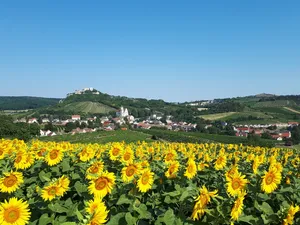Unser Weinviertel (5)