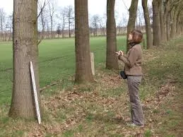 Baumkatasteraufnahme