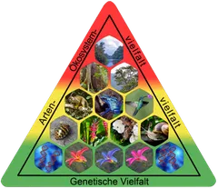 Artenvielfalt