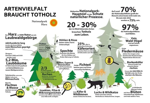 Artenvielfalt braucht TOTHOLZ