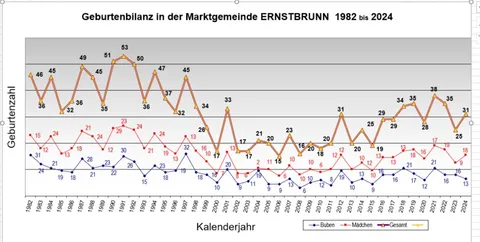 Geburtenstatistik 2024