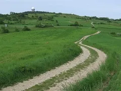 Güterweg zum Buschberg