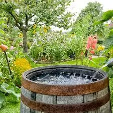Regenwasser sammeln!