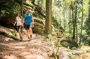 Ein Mann und eine Frau, die im Wald joggen