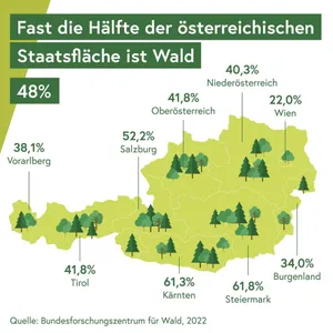 Waldflächen Österreich