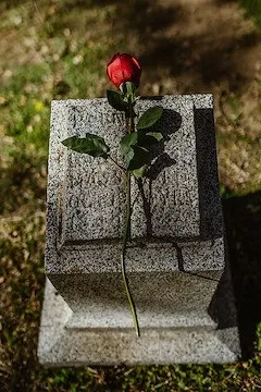 Eine rote Rose liegt auf einem grauen Grabstein an einem sonnigen Tag.