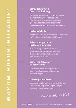 Ein Poster mit einem lila und gelben Hintergrund. Es listet verschiedene Pferdegesundheitsprobleme und Präventivmaßnahmen auf. Die Probleme umfassen Hufrisse, Hufdeformationen, Verletzungen und Leistungsprobleme.