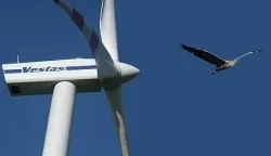 Eine große Windturbine mit dem Wort Vestas auf der Seite ist vor einem klaren blauen Himmel zu sehen. Ein Vogel fliegt in der Nähe der Turbine, möglicherweise eine Möwe.