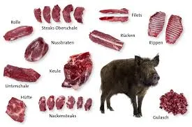Eine Illustration eines Wildschweins mit verschiedenen Fleischstücken, die darum herum beschriftet sind. Die Fleischstücke umfassen Rippen, Steaks und andere Teile.