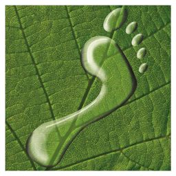 LAG Thermenland-Wechselland-Logo