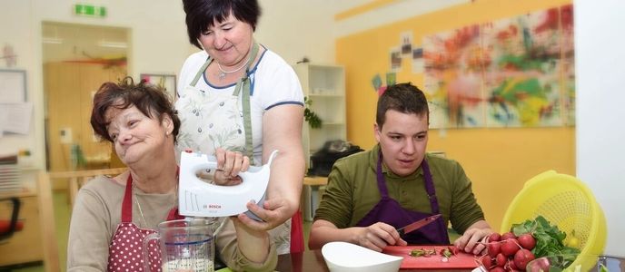 Eine Frau und ein Junge kochen zusammen. Die Frau hält einen Mixer und einen Messbecher, während der Junge Radieschen schneidet. Sie tragen Schürzen und sitzen an einem Tisch mit einem Schneidebrett. Ein Schrank und ein Gemälde sind im Hintergrund.