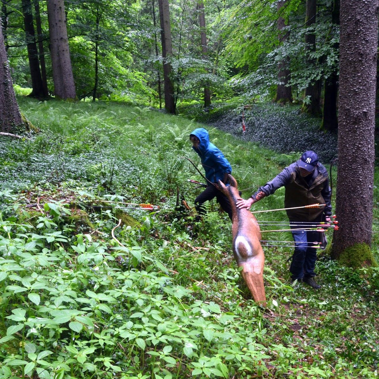 Bild enthält, Grove, Land, Tree, Vegetation, Woodland, Jungle, Hiking, Wilderness, Rainforest, Path