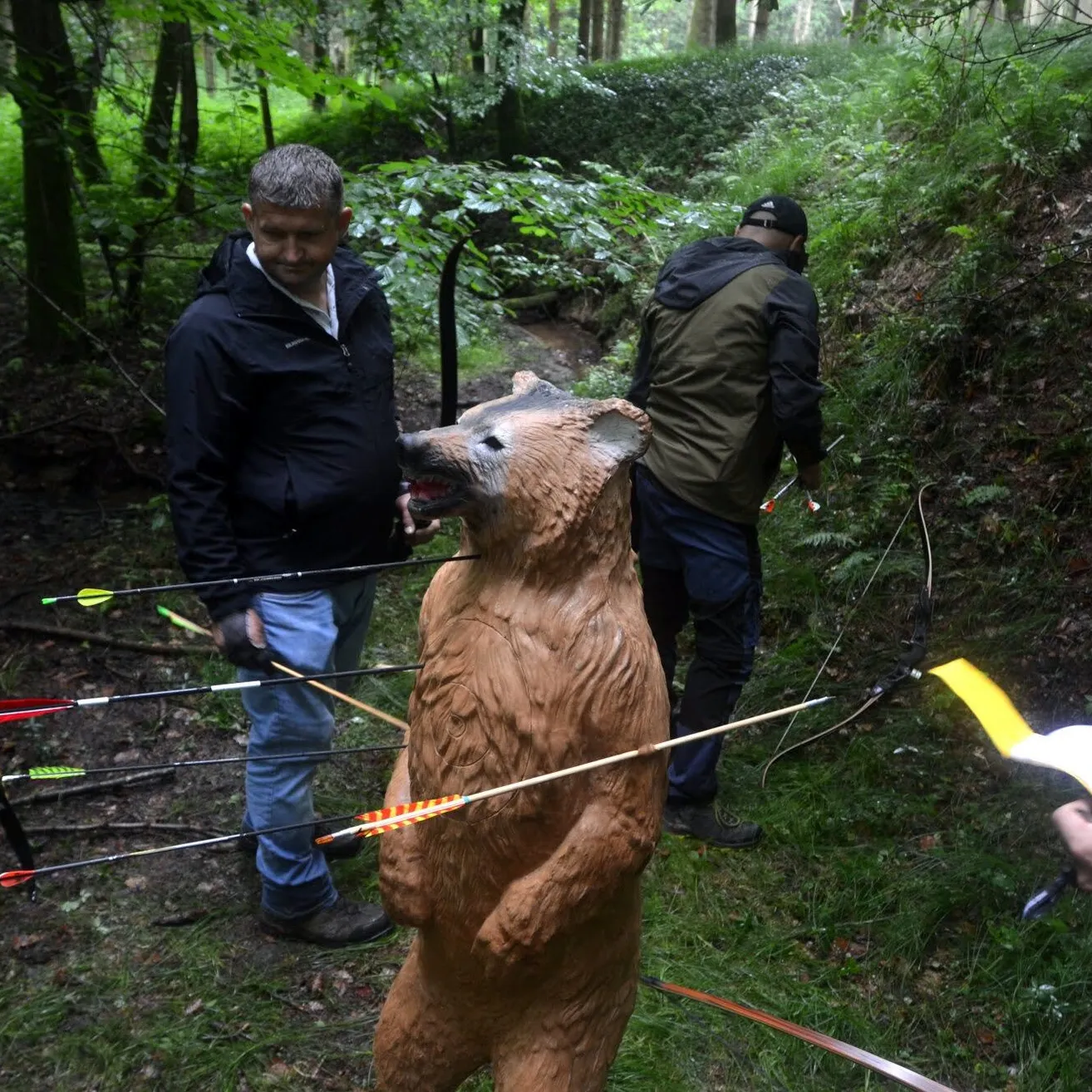 Arrow, Weapon, Adult, Male, Man, Person, Plant, Vegetation, Woodland, Bow