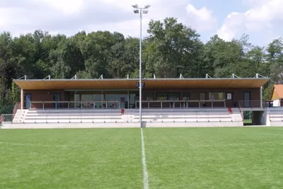 Field, People, Person, Dugout, Sport, Grass, Plant
