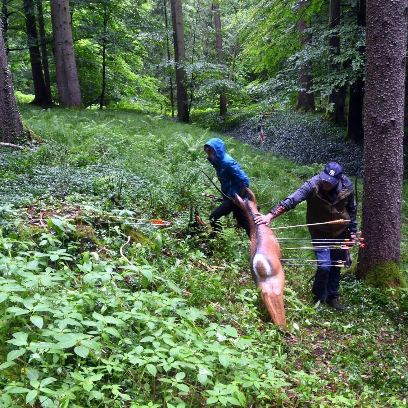 Bild enthält, Grove, Land, Tree, Vegetation, Woodland, Jungle, Hiking, Wilderness, Rainforest, Path