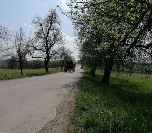 Foto: Marktgemeinde Wartberg ob der Aist