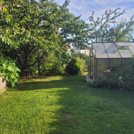 Ein gepflegter Garten mit einem Gewächshaus, umgeben von üppiger Grünfläche, Bäumen und Sträuchern. Der Rasen ist grün und gut geschnitten, mit Schatten, die von den Bäumen geworfen werden.