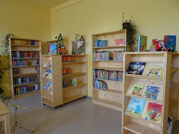 Furniture, Bookcase, Book, Publication, Person, Plant