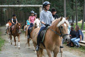 Eine Gruppe von Kindern reitet auf einem Kiesweg im Wald. Sie tragen Helme und reiten auf Pferden in verschiedenen Farben.